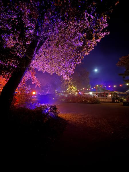 This enchanting night photo, taken at Haarweg, Vuren, showcases a vibrant outdoor scene illuminated by an array of colorful lights
